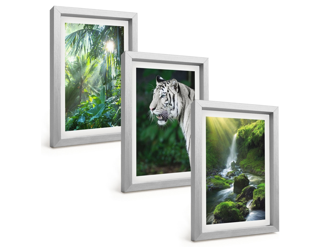 Galeria De Pinturas Muraisselva, Tigre, Cachoeira Moldura Prateada Fotos Para O Escritório Espelharte (3 Peças 20x30 Cm)