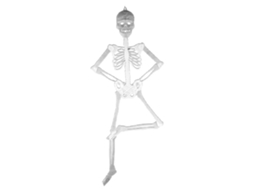 Decoração Halloween Laxiscreed Com Fantasma E Esqueleto Luminoso Para Casa Assombrada