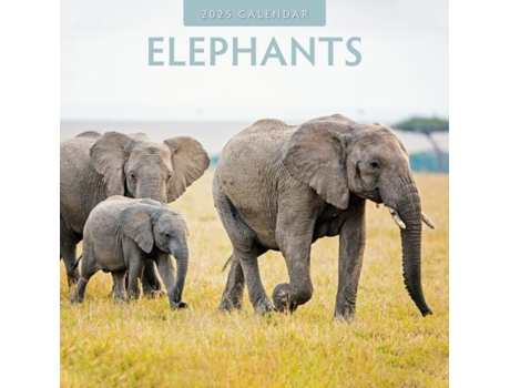 Livro Elephants 2025 Square Wall Calendar de Red Robin (Inglês)
