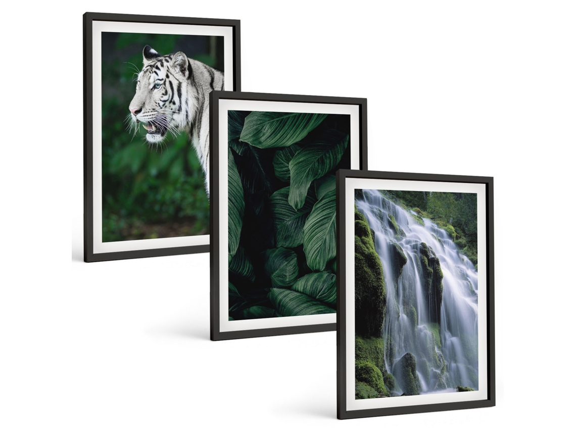 Conjunto De Pinturas Folhas De Tigre Branco Em Cachoeira Espelharte (3 Peças 40x60 Cm)