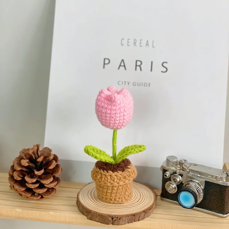 Lindos Vasos De Plantas De Crochê E Plantas Artificiais De Tricô.