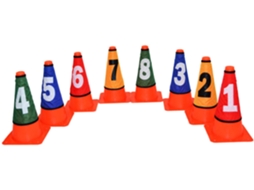 Cones LYNX SPORT Numerados Multicor (Único)