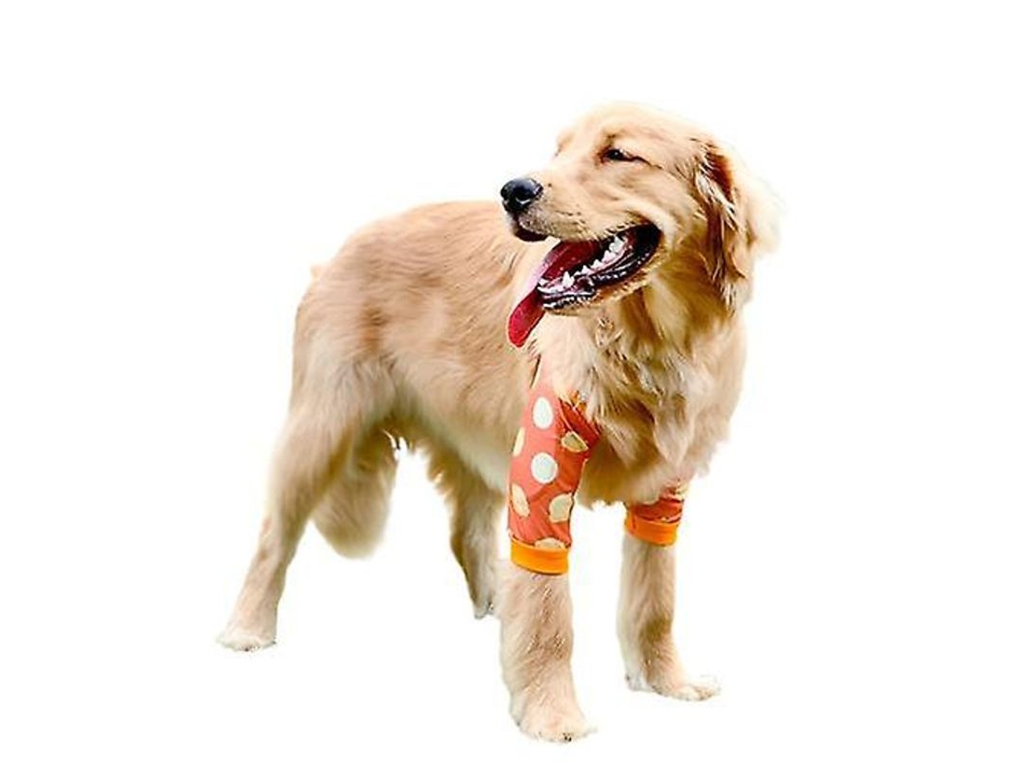 Protetor Cotovelo 2026 para Cães de Porte Médio e Grande, Canelhas Antidesgaste, Roupa para Animais de Estimação com Proteção Articular