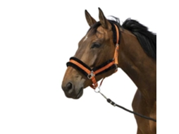 Cabeçada Mouton Nylon Laranja Cobequitheme