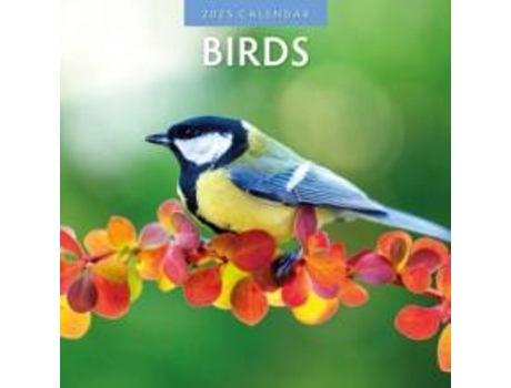 Livro Birds 2025 Square Wall Calendar de Red Robin (Inglês)