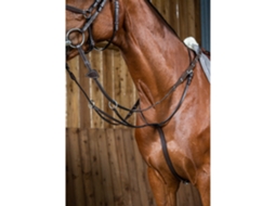 Martingale com Anéis DYON