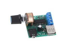 Módulo Amplificador de Áudio Pm2038 Usb 5w com Proteção Interna