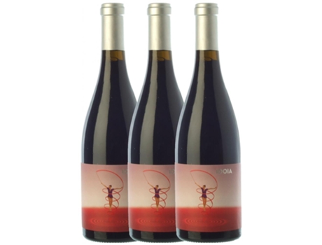 Vinho CA N'ESTRUC Ca N'Estruc Idoia Negre Catalunya Crianza (0.75 L - 3 unidades)