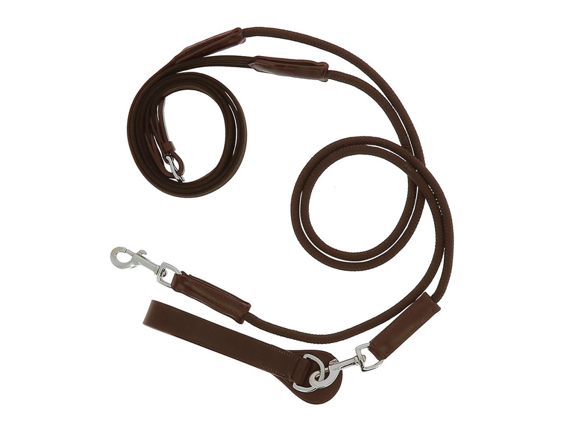 Rédeas Do Canva German Dourado Fullnorton Equestrian