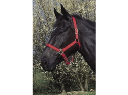 Halter Riding World