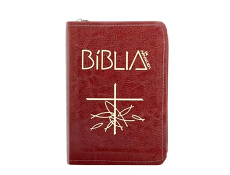 Livro Bíblia De Aparecida Bolso Zíper Marrom de Idéias E Letras (Português)