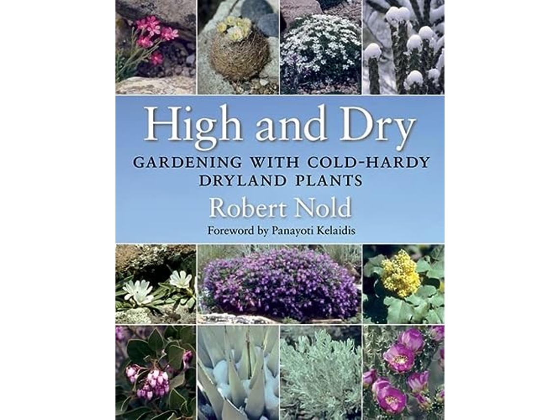 Livro High and Dry de Robert Nold (Inglês)