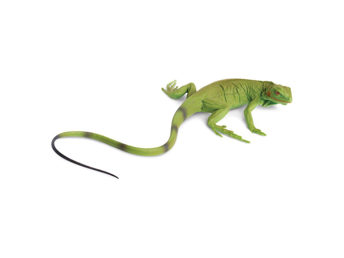 SAFARI Iguana Baby