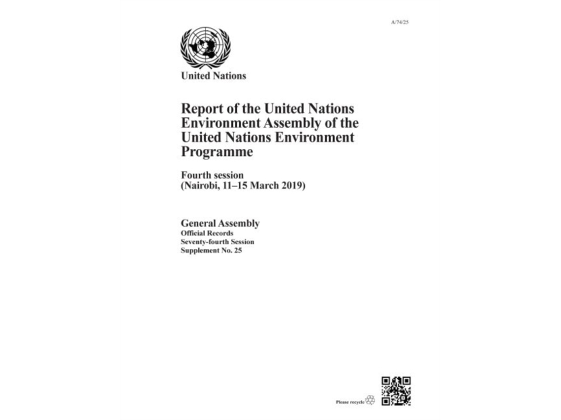 Livro United Nations Environment Programme de United Nations Environment Programme e United Nations: General Assembly (Inglês)