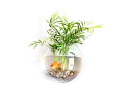 Peixe Aquário Parede LAXISCREED