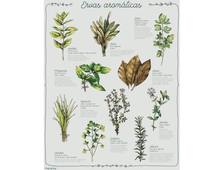 Poster EDICARE SOS Cozinha: Ervas Aromáticas