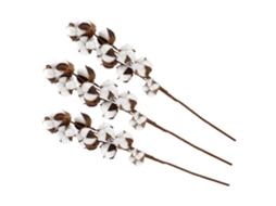 3pcs Caule De Algodão Natural 60cm Flor Seca Para Decoração Casamento Casa