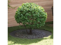 Vidaxl Adequado Para Anéis De Árvore Planos 5 Unid. Preto Ø90/120 Cm