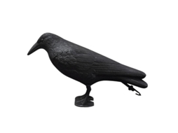 Repelente de Pombos Corvo Preto NOVA LINE