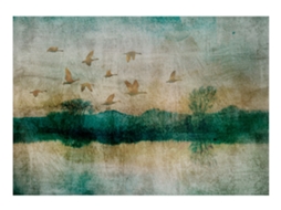 Papel de Parede ARTGEIST Golden Ducks (147x105)