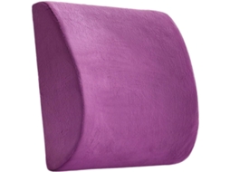Cadeira de Escritório com Suporte Lombar, Almofada para Mesa, Ergonômica, Formato Anatômico, Núcleo CHABERLU