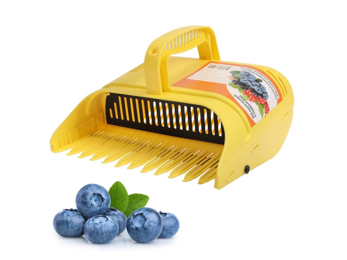 Ferramenta Plástica Colheita Mirtilos Frutas Pequenas
