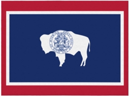 Manta de Flanela Ultramacia Phayah com Estampa da Bandeira do Estado Wyoming Ideal para Sofá Cama Sala Estar e