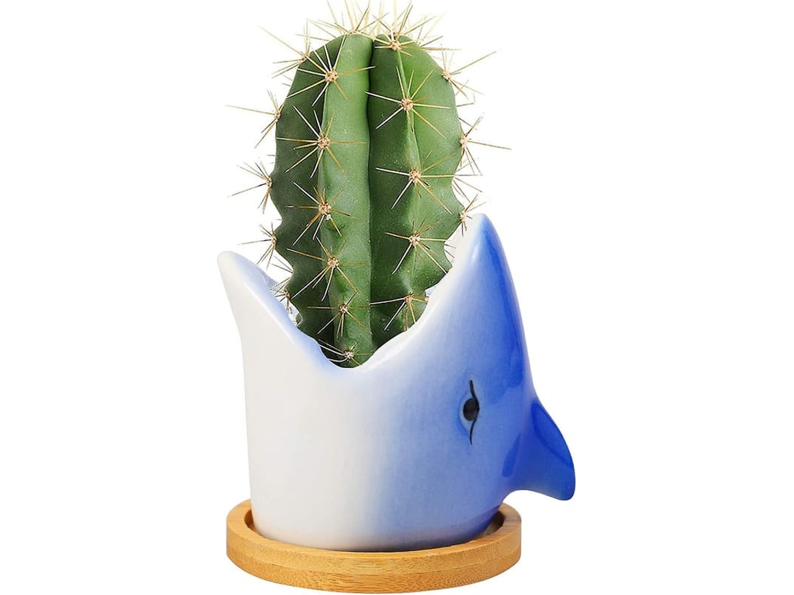 Vaso De Cerâmica Para Interior - Tubarão Com Furo De Drenagem E Prato Decorativo Para Succulentas