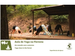 Bilhete TAPADA NACIONAL DE MAFRA - AULAS DE YOGA NA FLORESTA - OUTONO