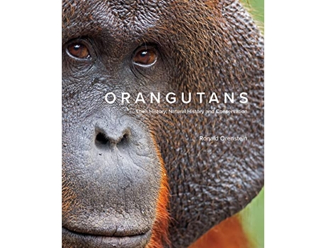 Livro Orangutans de Ronald Orenstein (Inglês - Capa Dura)