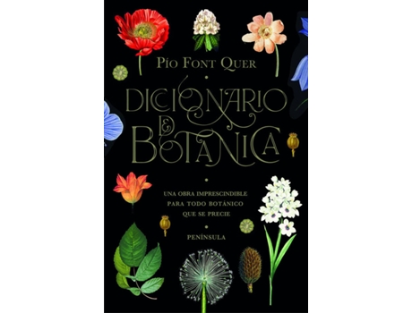 Livro Diccionario De Botánica de Pío Font Quer (Espanhol)