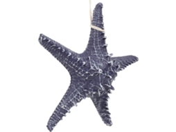 Decoração Parede Única Adorável Resina Marinho Ornamento Elegante Original Ambientes Internos Estar Azul Sala GOKOCO