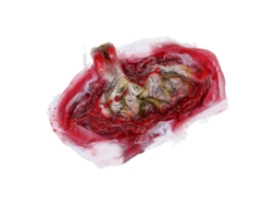 1Pcs Gaze de Sangue para Decorações de Halloween ALLINLESS