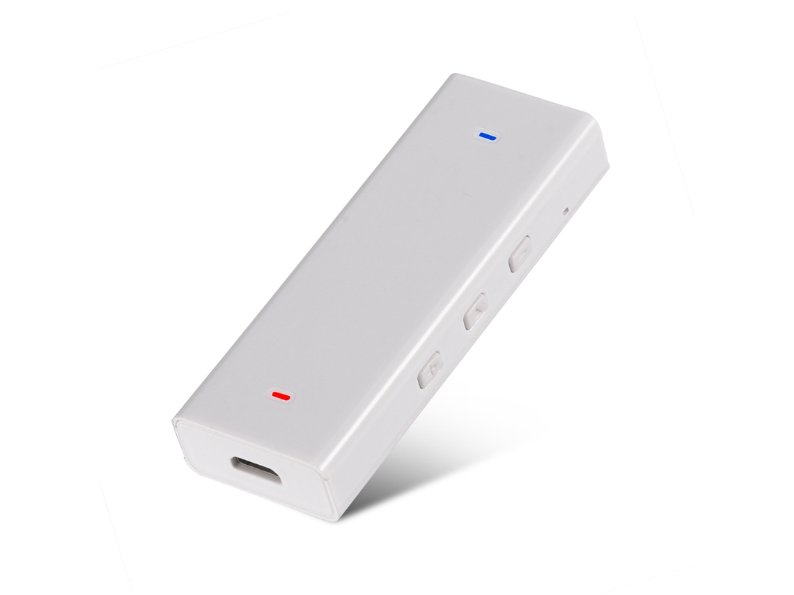 Amplificador Bluetooth Portátil Mini LAXISCREED