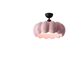 Laxiscreed Plafon De Quarto Com Luz De Espectro Completo Linterna De Rosa E Abóbora Para Crianças