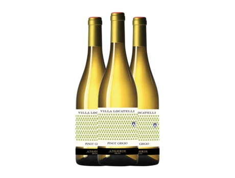 Vinho branco ANGORIS Villa Locatelli Pinot Cinza Montepulciano d'Abruzzo (0.75 L - 3 Unidades)