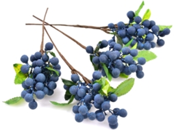 XYVONA Huianer Frutas Artificiais Vermelhas, 4pcs Berrys Simuladas Com Caules, Decoração De Casamento, Festa E Diy.