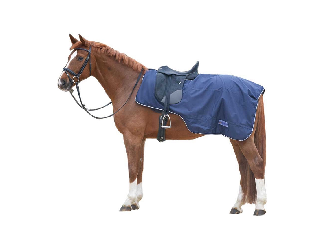 Tapete de Exercício Saddle Cut Azul Fullwaldhausen