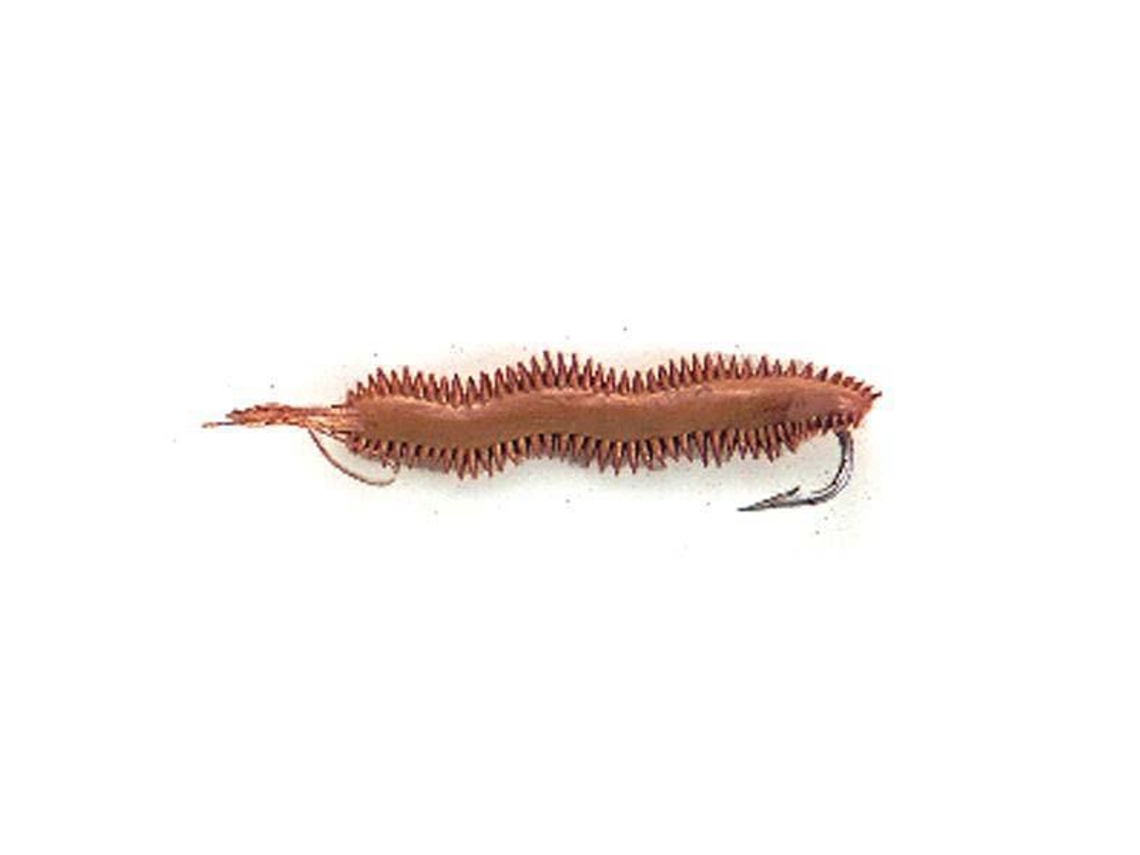 Evia Sand Worm Small