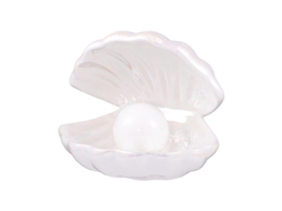 1pcs Luz Noturna Pérola Em Concha