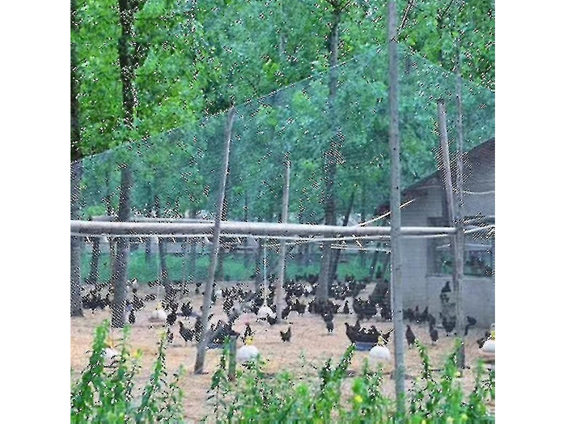 2026 red de Protección para Jardín Y Cultivos Anti Aves Ciervos Perros Gatos Pollos Resistente Uv Nylon