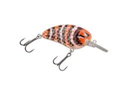 Lure SPRO Little John Md 60 TU