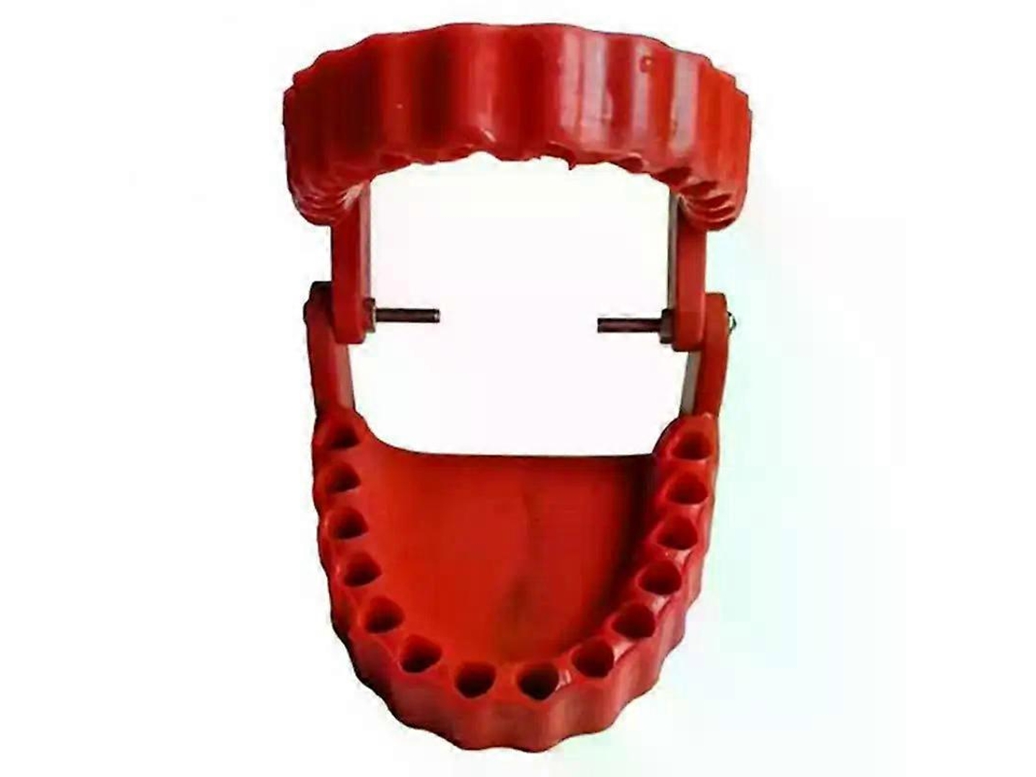 Suporte Para Broca Dentária Com Adaptador 28 Pontas De Chave Fenda Em Plástico Decoração Casa - Design Divertido Modelo Dente -aquaforge