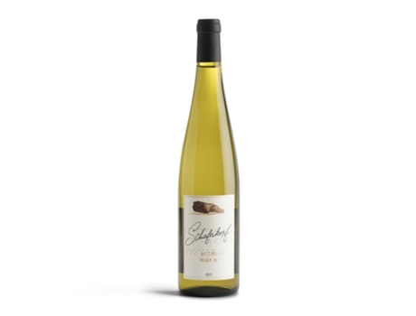 Schieferkopf Riesling Dry Dry 2023 75cl Domaine Schieferkopf, Maison M. Chapoutier