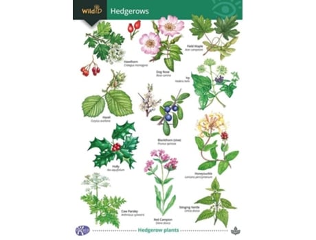 Livro Guide to Hedgerows de Gill Crane (Inglês)