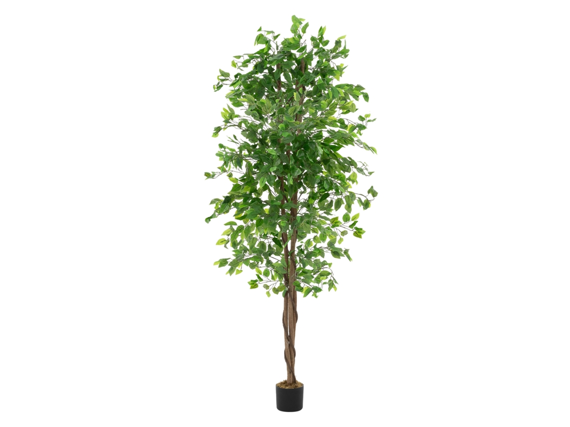 Ficus Artificial Ml-design 210 Cm Verde Planta De Interior/exterior Com Tronco Natural