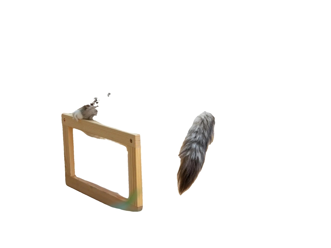 Cama Elevada, Design Leve, Adequada Para Pequenos Animais De Estimação, Branco