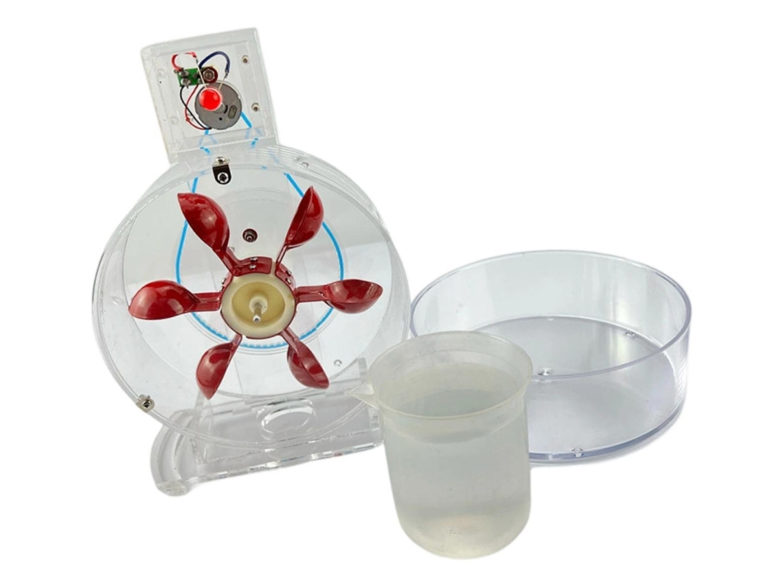 Kit De Experimento Científico Demonstrador Do Princípioslowmoose