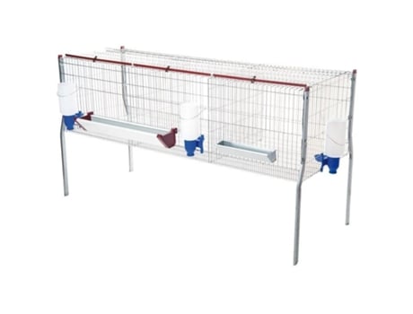 Gaiola para Galinhas SUINGA (Multicor)