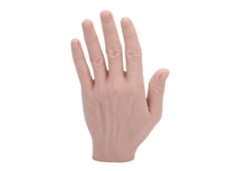 Modelo De Mão Masculina De Silicone Reutilizável Realista Flexível Para Adereços Festivos E Prática De Pintura Mão Esquerda